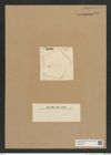 Diatomeae indet. Zeichnungen Sammlung Grunow Nr. 6947 (NHMW-BOT-W0375839)